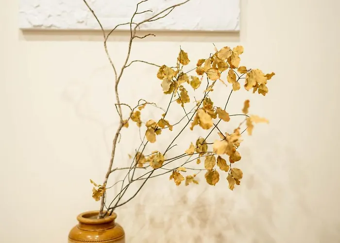 Apartment Madeira Precious Penthouse