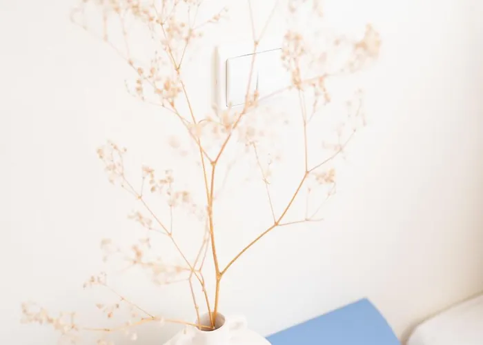 公寓 Madeira Precious Penthouse